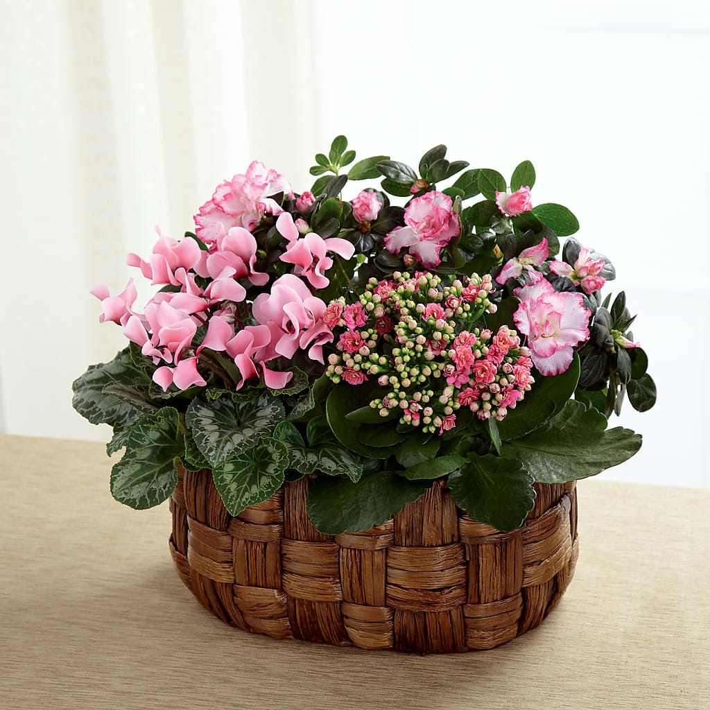 Pink Assortment – ROCKY'S FLOWERS, West Terre Haute IN