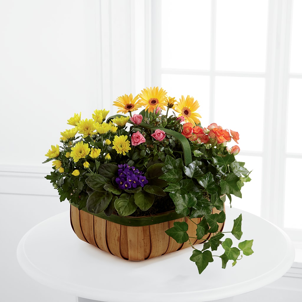 Gentle Blossoms Basket – ROCKY'S FLOWERS, West Terre Haute IN