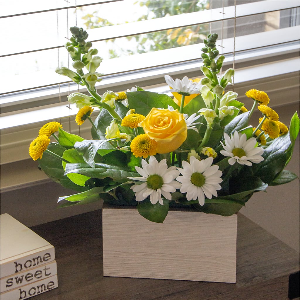 Sun Salutation Box Bouquet – ROCKY'S FLOWERS, West Terre Haute IN
