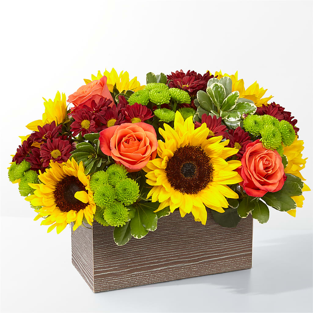 Happy Harvest Garden – ROCKY'S FLOWERS, West Terre Haute IN