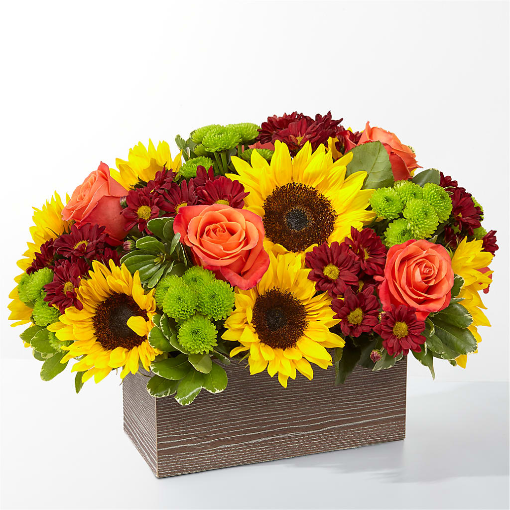 Happy Harvest Garden – ROCKY'S FLOWERS, West Terre Haute IN