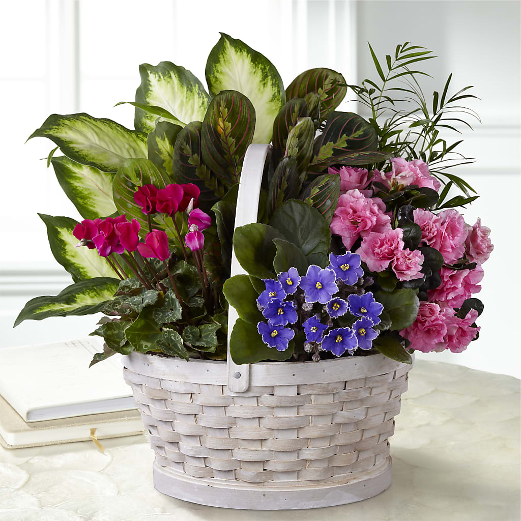 Peaceful Garden Planter – ROCKY'S FLOWERS, West Terre Haute IN