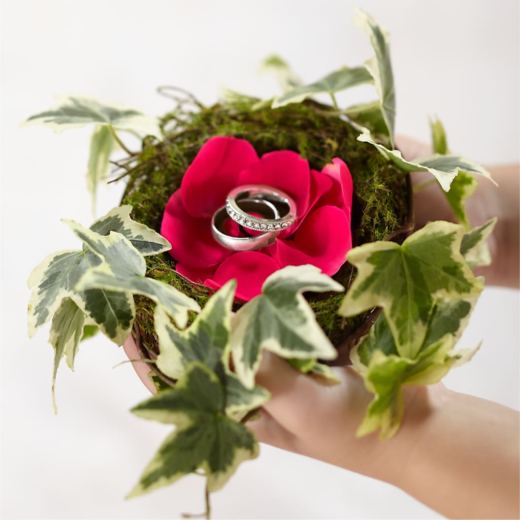 Lila Rose Ring Nest – ROCKY'S FLOWERS, West Terre Haute IN