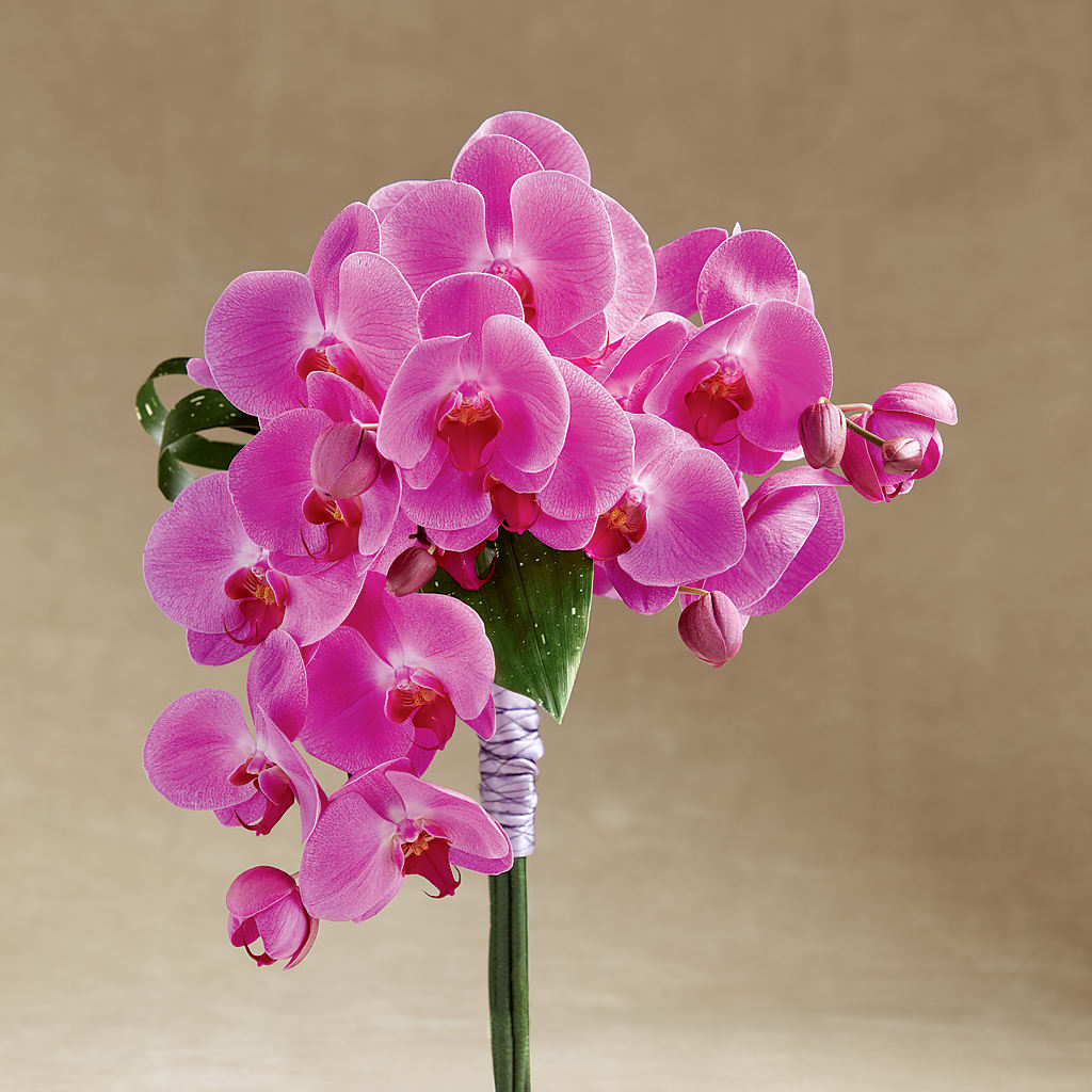 Glorious Bouquet – ROCKY'S FLOWERS, West Terre Haute IN