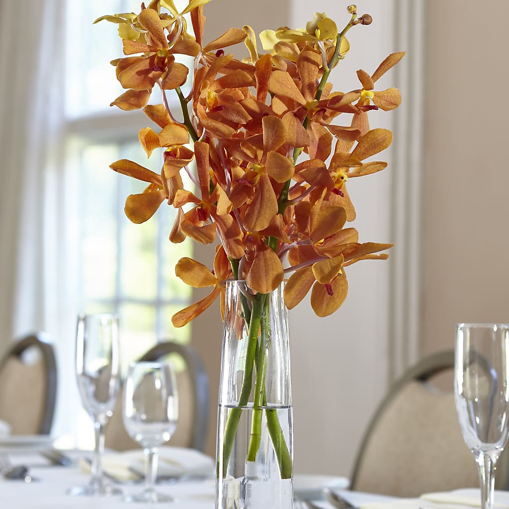Orange Mokara Bud Vase – ROCKY'S FLOWERS, West Terre Haute IN