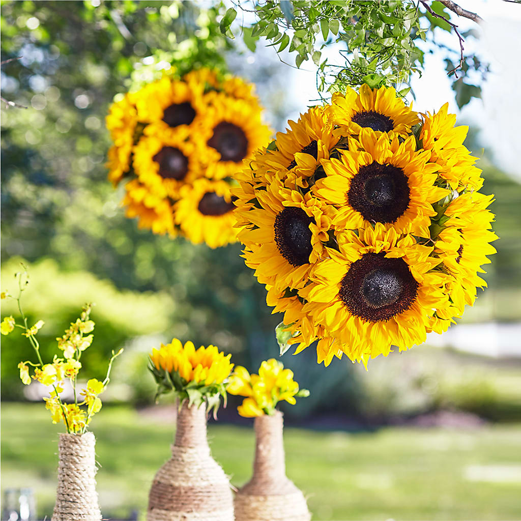 Sublime Garden Hanging Arrangement – ROCKY'S FLOWERS, West Terre Haute IN