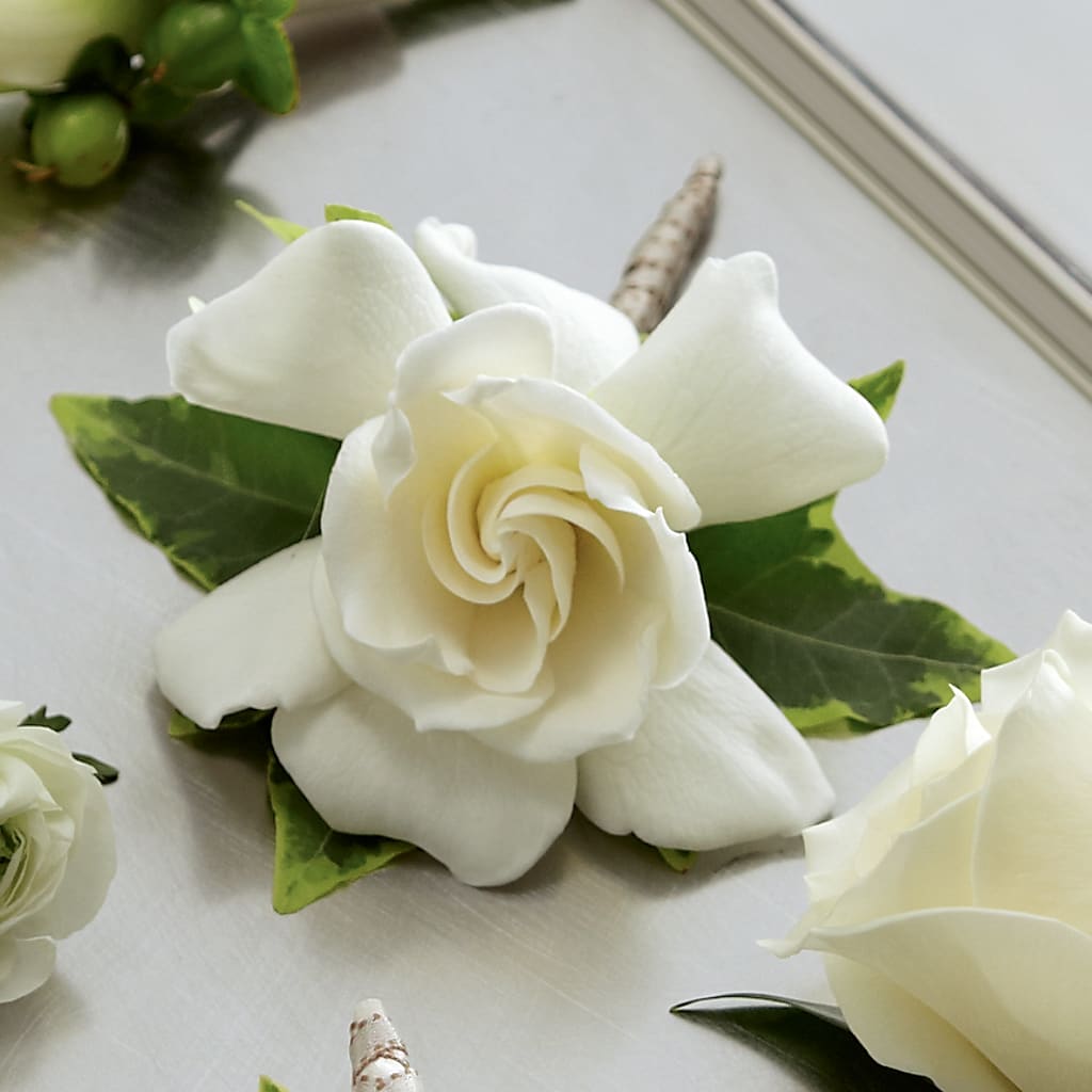 Gardenia Boutonniere – ROCKY'S FLOWERS, West Terre Haute IN