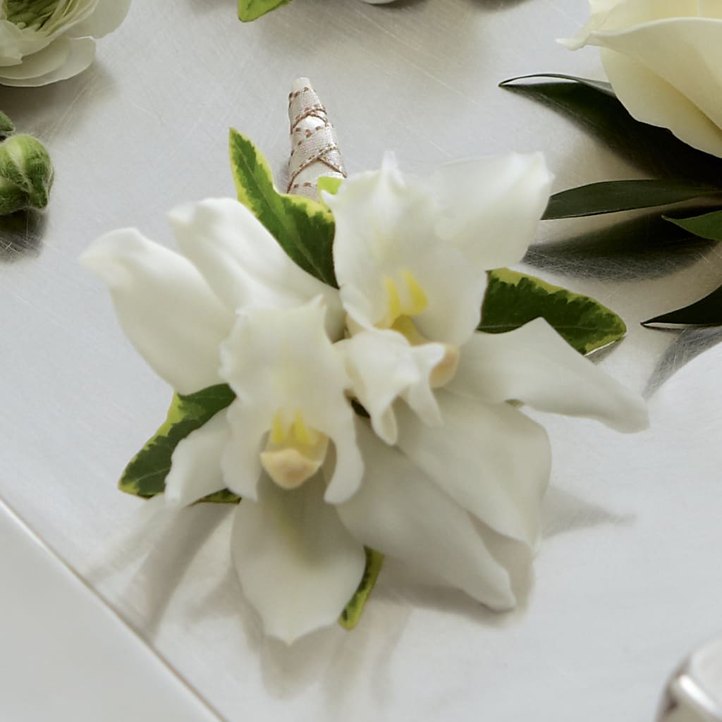 White Mini Cymbidium Boutonniere – ROCKY'S FLOWERS, West Terre Haute IN