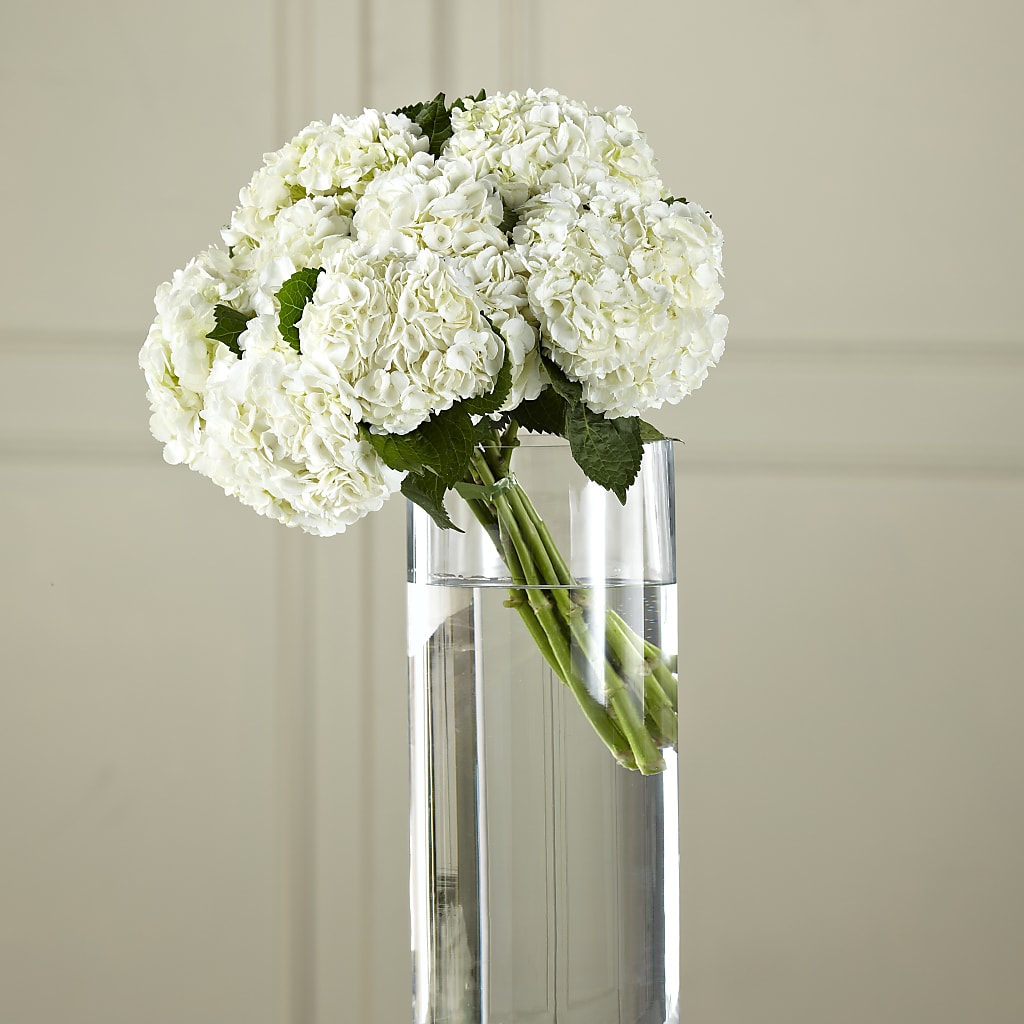 White Hydrangea Hand-Tied Bouquet – ROCKY'S FLOWERS, West Terre Haute IN