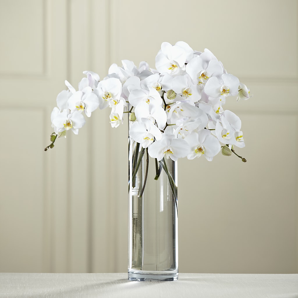 White Phalaenopsis Bouquet – ROCKY'S FLOWERS, West Terre Haute IN