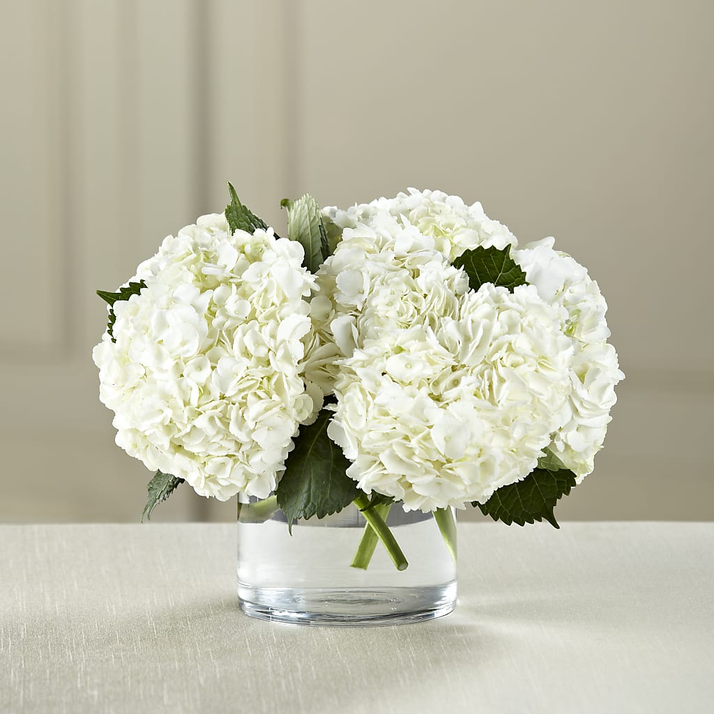 White Hydrangea Bouquet – ROCKY'S FLOWERS, West Terre Haute IN