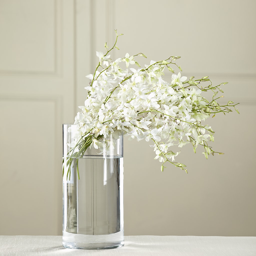 White Dendrobium Bouquet – ROCKY'S FLOWERS, West Terre Haute IN