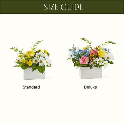 Sun Salutation Box Bouquet – ROCKY'S FLOWERS, West Terre Haute IN