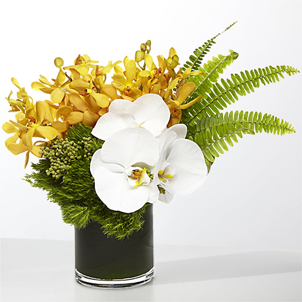 The Tropics – ROCKY'S FLOWERS, West Terre Haute IN
