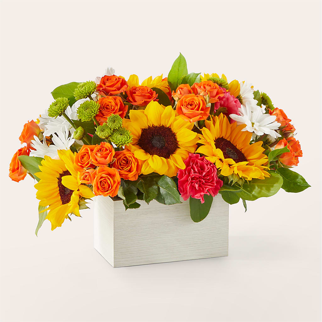 Sun-drenched Blooms Box Bouquet – ROCKY'S FLOWERS, West Terre Haute IN