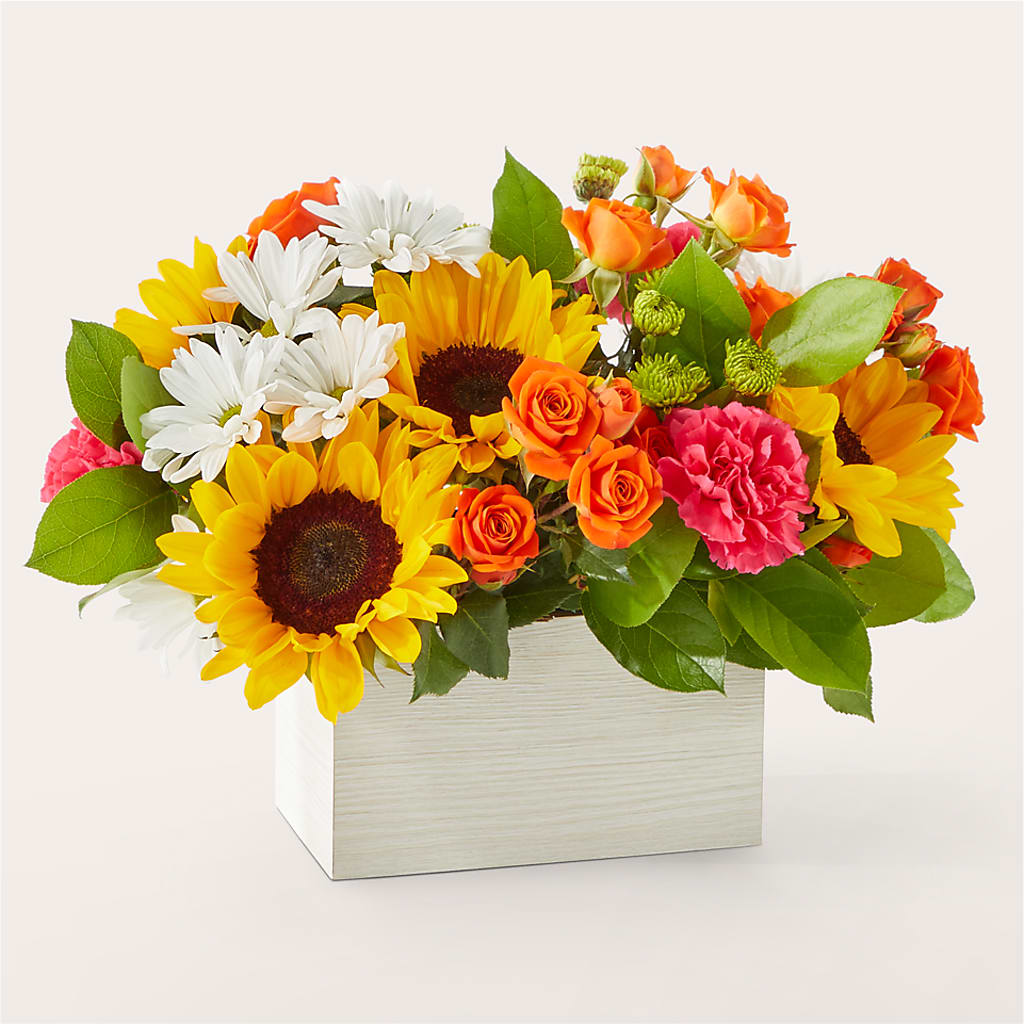 Sun-drenched Blooms Box Bouquet – ROCKY'S FLOWERS, West Terre Haute IN