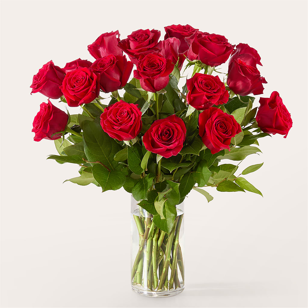 The One Red Rose Bouquet – ROCKY'S FLOWERS, West Terre Haute IN