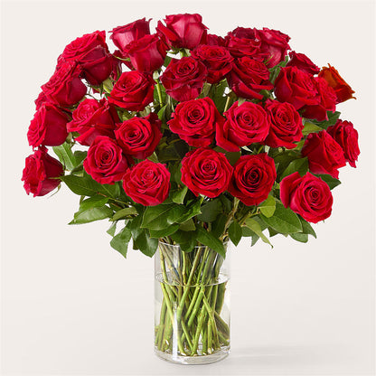 The One Red Rose Bouquet – ROCKY'S FLOWERS, West Terre Haute IN