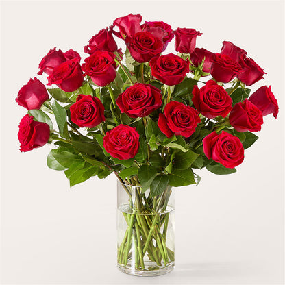 The One Red Rose Bouquet – ROCKY'S FLOWERS, West Terre Haute IN